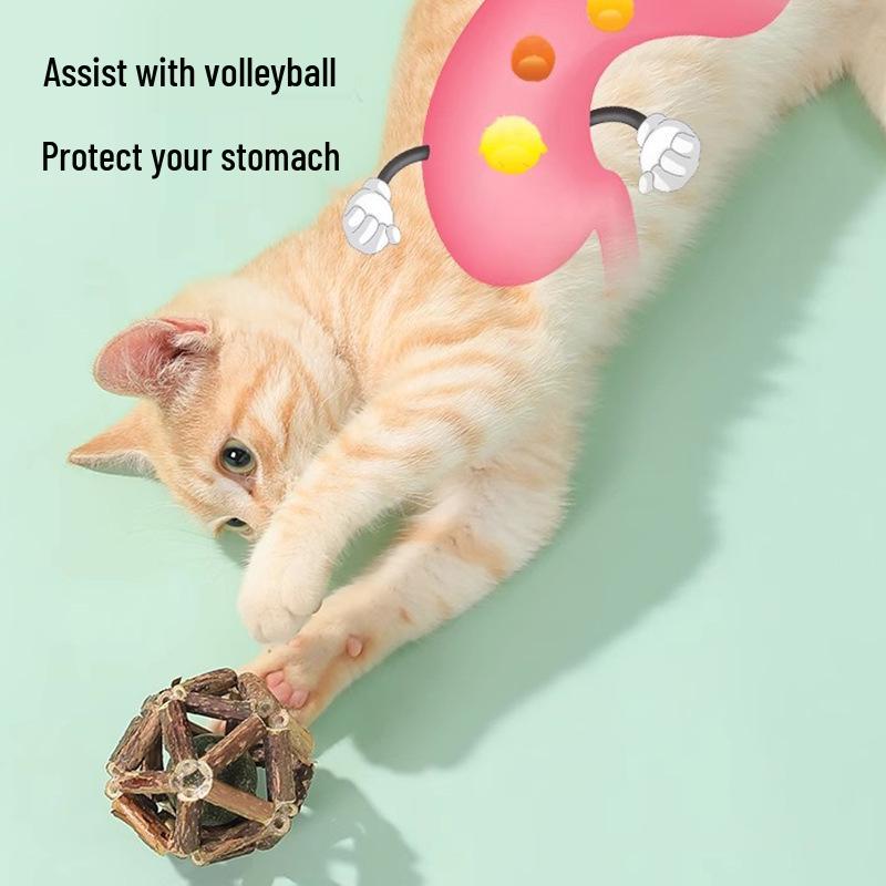 Mint Ball Catnip Chewing Stick: Interactive Kitten Toy & Stress Relief Aid