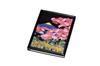 Nakatani Brothers "Yamanaka Lacquerware" Lacquerware Notebook Cover (with Swallow Notebook) Fuji Sakura Design 37-2909
