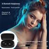 SNGERON T17 Ear-hook Wireless Headphones