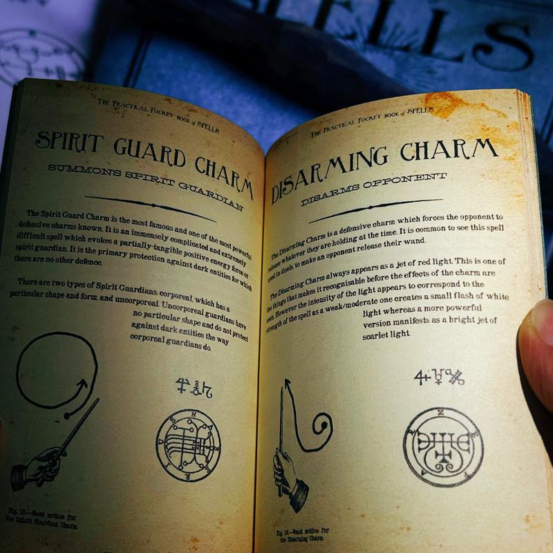 Книга «Зачарованные» Учебник по травоведению Книга по астрологии Винтажный скрапбукинг Журнал Записи Заклинаний История Книга Заклинаний Подарок Детям