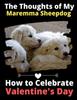 Книга The Thoughts of My Maremma Sheepdog : How To Celebrate Valentine's Day