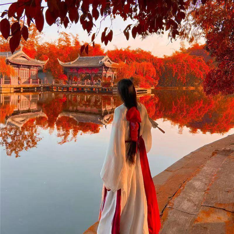 Женский костюм Hanfu в китайском стиле в стиле династий Вэй и Цзинь с перекрестным воротником и длиной до талии, комплект из 2 предметов