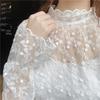Plus Size Lace Mesh Long Sleeve Women's Shirt - Autumn/Winter Fleece Lined Fashion Top.