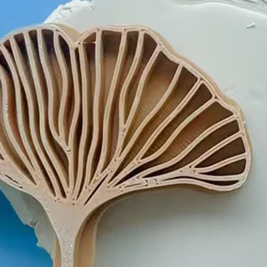 Глиняная печать Лист Гинкго Билоба 3D-печатный узор листа Форма для тиснения глины для поделок своими руками Изготовление из полимерной глины