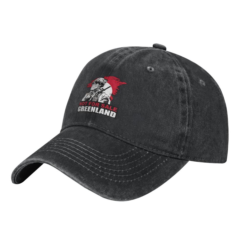 Baseball Cap Denmark Dear Greenland we hate him too Summer y2k Cool Trucker Hat Hippie High Quality Baseball Caps