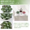CAPASTEC Artificial Succulent Plant in Mini 1 for No Care Realistic Pot, Green, Piece, Tabletop, Entryway, Desk, Cute, Required,