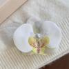 Women Korean Cloth Floral Pearl Hair Clip Sweet Phalaenopsis Flower Hairpin Female Headdress