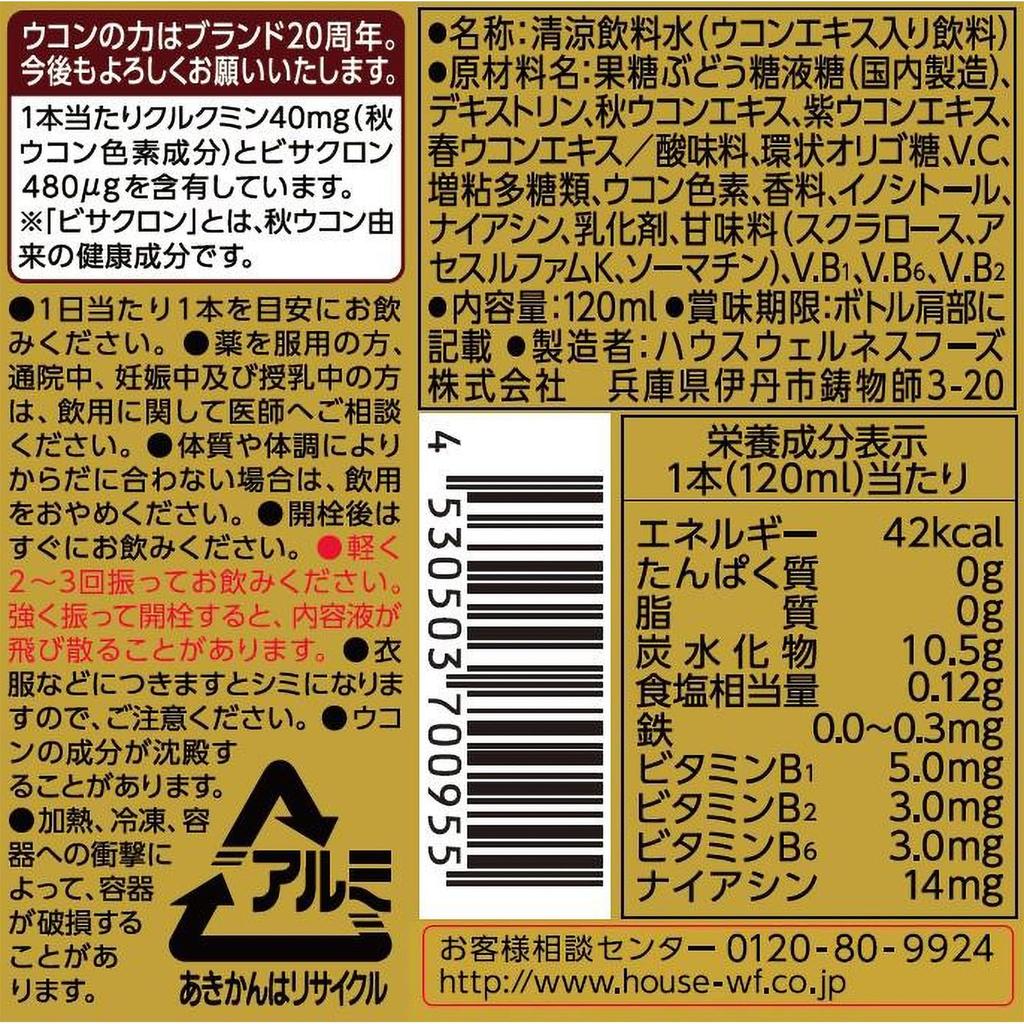 Сила куркумы Супер 120 мл x 30 бутылок