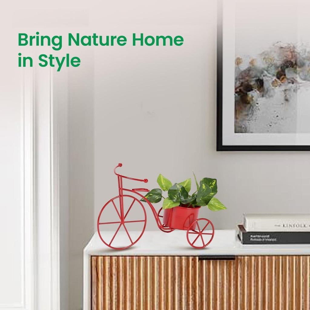 Metal Flower Vase Planter Pot - Pedal Paradise