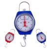 Balance Handheld Spring Balance Hook Scale 10kg/50g Mechanical Scale Digital Dial Luggage Scale