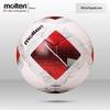 Футбольный мяч Molten Hybrid Construction, размер 5