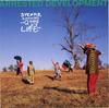CD ARRESTED DEVELOPMENT - 3 года, 5 месяцев и 2 дня в CDP21929 Chrysalis 1992 Япония Рэп и хип-хоп/R&B Б/у