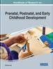 Книга Global Perspectives On Prenatal, Postnatal, and Early Childhood Development