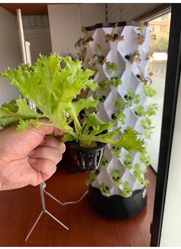 Pineapple Tower Soilless Aeroponic & Aquaponic Hydroponic Planting System