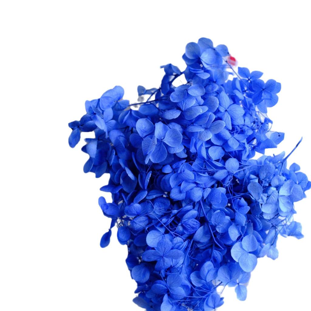 Eternal Hydrangea Dried Petals - Craft, Decor, Gift Accessory