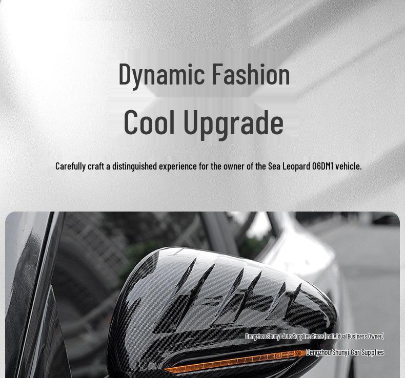 BYD Seal Rearview Mirror Carbon Fiber Protective Cover - Black Warrior