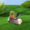 Фигурка птицы Реалистичная Нежная детализация Яркий внешний вид Смола приборная панель автомобиля Статуэтка для сада животных Садовые принадлежности