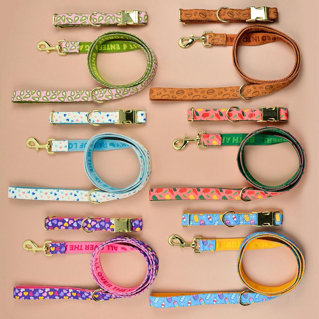 Luxury Brand Summer Colorful Season Adjutable Dog Collar And Leash Set For Small Medium Large Dogs