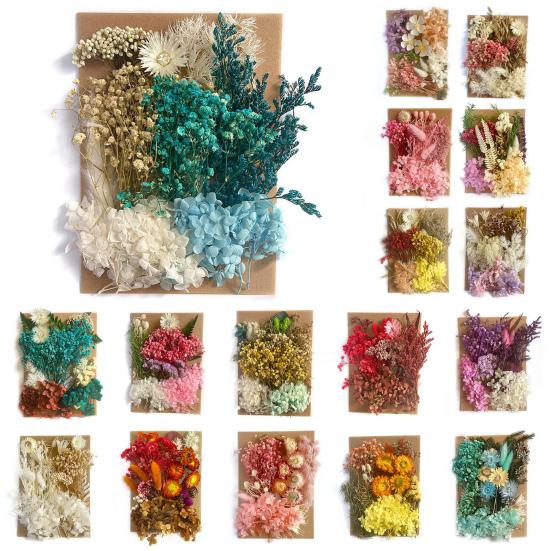 1 Bag Dried Flower Model Eye-catching Charming Smooth Surface Durable Fantastic Detailed Dried Flower Display for Kid