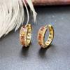 Delicate Multicolor Hoop Earrings for Ladies Banquet Party Earrings Romantic Birthday Gift
