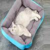 Pet Cat and Dog Nest Large Scale Pinkycolor Warm and Comfortable Soft Cotton Nest Waterproof Sofa Bed Universal for Cats and Dog