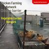 Poultry and Garden Netting: Versatile Enclosures for Chickens, Ducks, Geese, and Vegetables