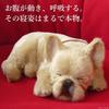 Ninian and Kino Perfect Pet (Small Size) French Bulldog (Cream) Stuffed Animal Dog Realistic Look-alike Goods Animal Healing Moving Present Gift