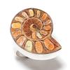 Ammonite Fossil Gemstone 925 Sterling Silver Jewelry Ring Size 9