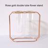 Nordic Creative Vase Home Decor Golden Glass Hydroponic Plant Holder Iron Line Flowers Ornament Garden Decoration Hot