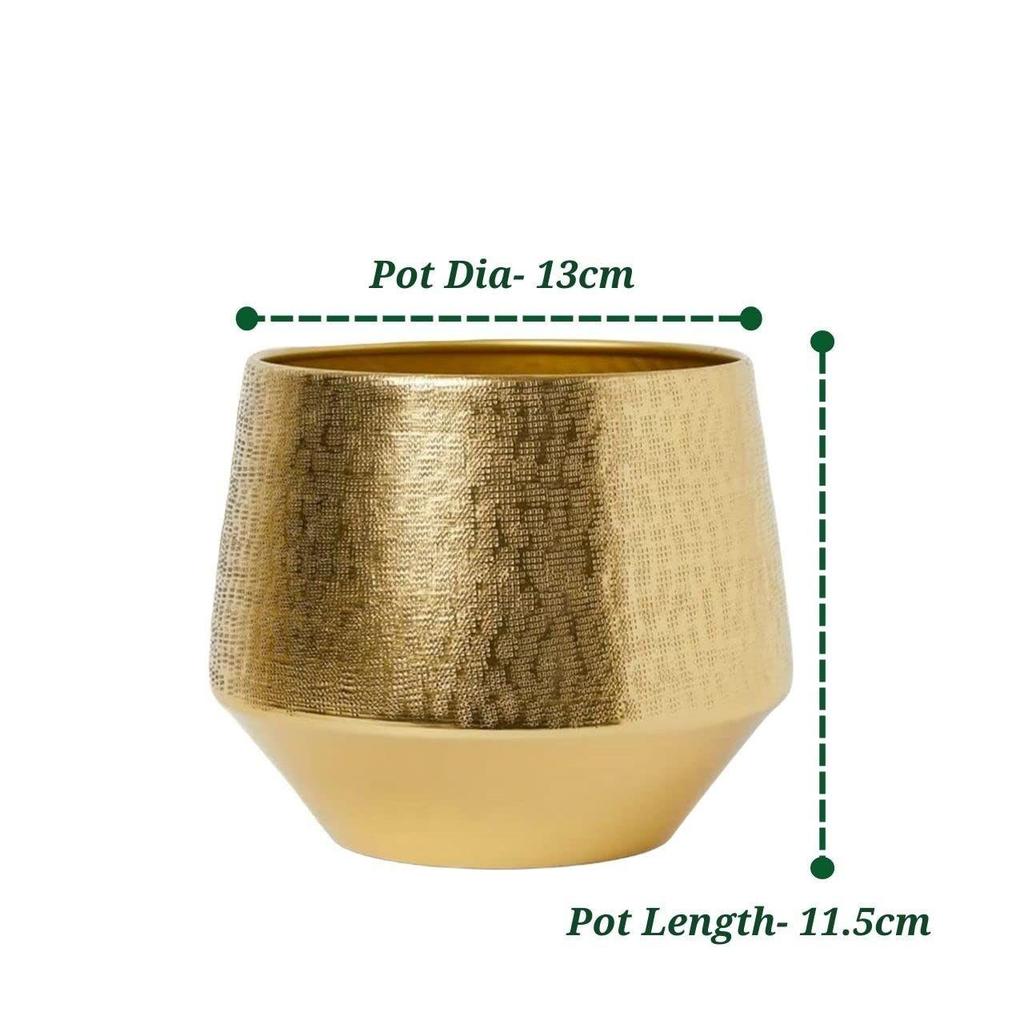 5 дюймов, Металлический горшок для растений Eion Jr, Декоративный современный комнатный кашпо, Горшки для цветов, Декор для дома и сада
