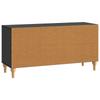TV Cabinet Black 99 x 34.5 x 50 cm Particleboard