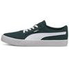Кроссовки C-Skate Vulc Green Gables Unisex Белые 374901-08