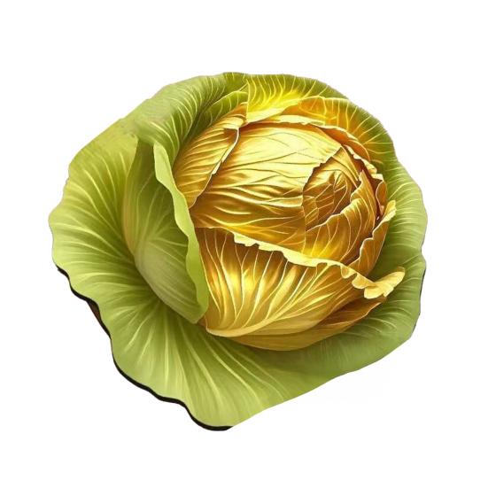 3D Цветочный Плейсмат Диатомовая Земля Абсорбирующий Обеденный Мат Термостойкий Реалистичный Цветочный Плейсмат для Обеденного Стола Кухонной Столешницы Декор Стола