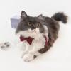 Beautiful Cat Lace Bows Collar Silks Satins/Pearl Dog Pearl Bows Necklace  Photograph