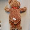 [USED] Teddy bear (70cm)