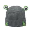 Autumn and winter Internet celebrity knitted hat female cute cartoon frog ear protector pullover hat wool hat female 2025