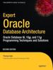 Книга Expert Oracle Database Architecture : Oracle Database 9i, 10g, and 11g Programming Techniques and Solutions