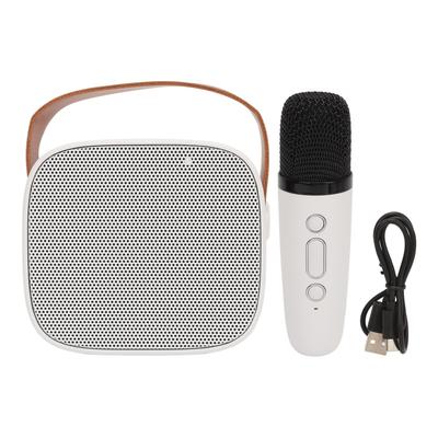 P2 Mini Karaoke Machine Портативная Bluetooth-колонка с беспроводным микрофоном для взрослых и детей, белая
