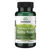 Full Spectrum Gotu Kola, 435mg - 60 caps