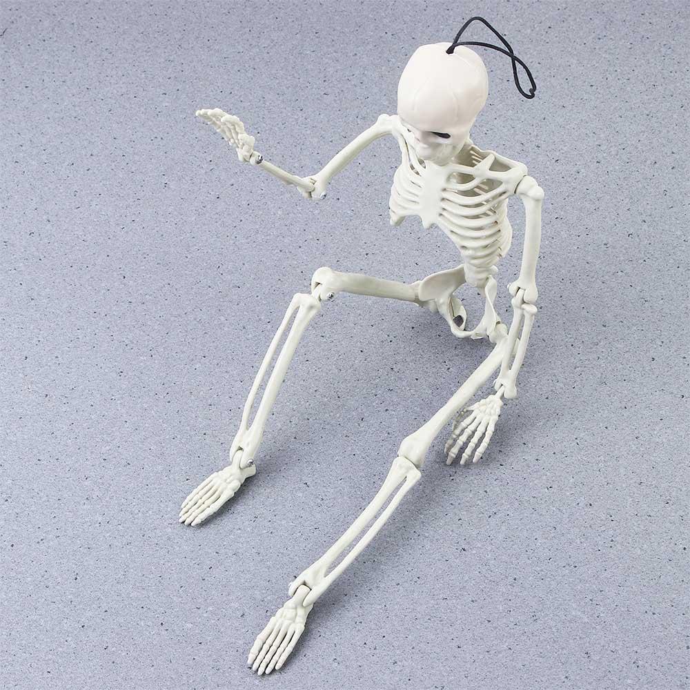 accessories Biology teaching Halloween props Skeleton model Human Bones Car Rearview mirror pendant
