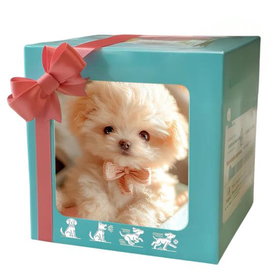 Плюшевая сидящая коала, имитация, мягкая набивная игрушка, уютная собака, панда, коала, плюшевая кукла для детей, рождественские подарки