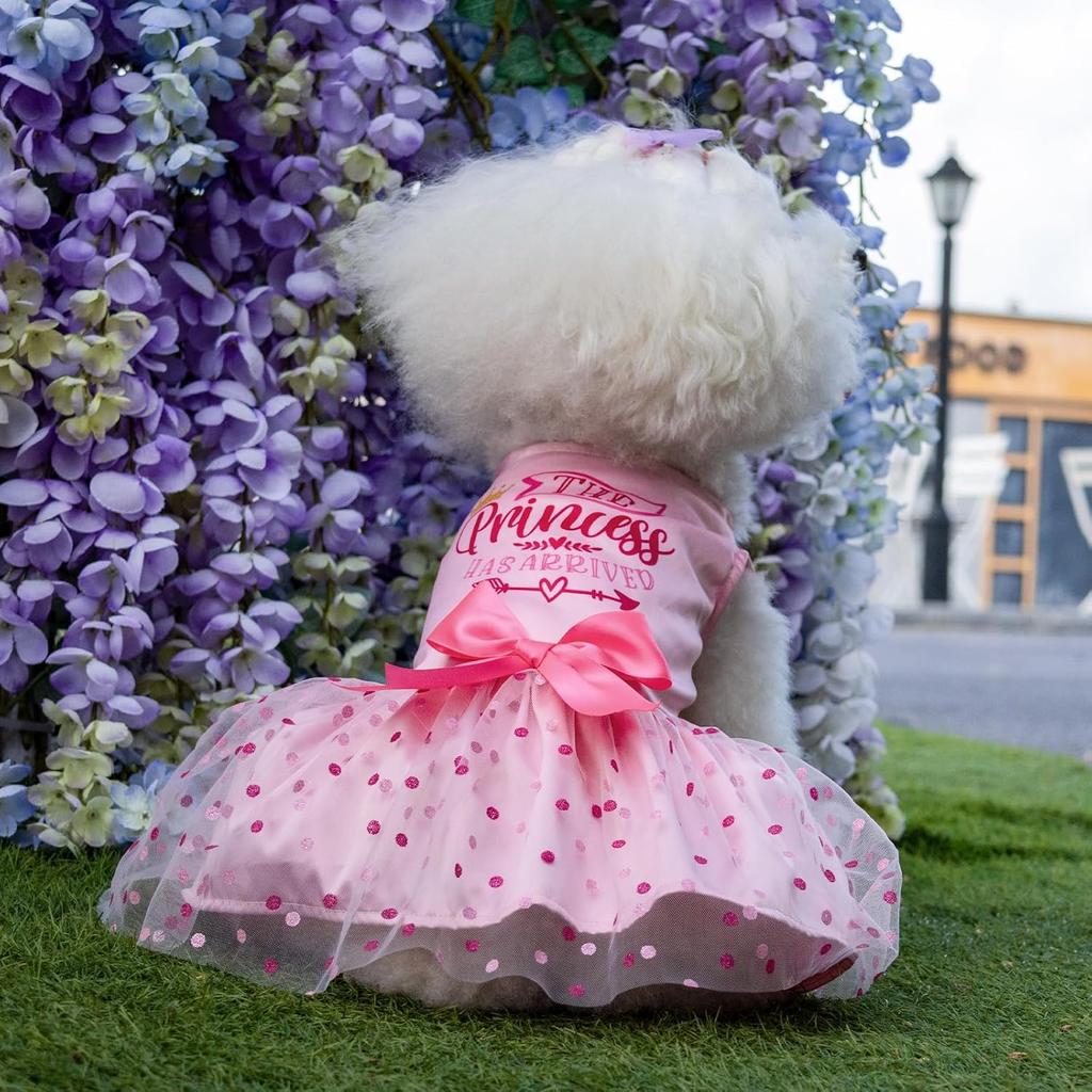 Милая косточка Платье для собаки Девочка на день рождения Щенячья одежда принцессы Костюм Кошачья одежда Маленькие собаки Наряд для питомца DD20S