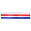 Durable Professional Silicone Measuring Dough Strips Rolling Pin Guides Cookies Pies Baking