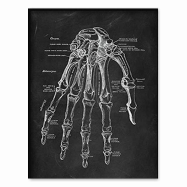 Анатомия человека, художественная работа, медицинская клиника, настенная картина, скелет, орган, мышечная система, винтажный холст с принтом, плакат для обучения телу, без рамки