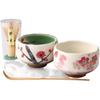 Matcha Bowl X X Mini Matcha Set Porcelain Mino Ware Made In Japan Ale-net W9.8 D9.8 H6.4cm Plum/Sakura