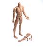 12 Inch Male Soldier Body Model Muscular Male Body Model Fits Head Sculpt Action Figure Body 1/6