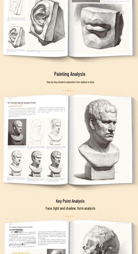 Understanding Sketch Plaster Casts: 8K Exam Art Guide & Album