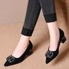 Spring and Summer New Pointed Thick Heel Women's Shoes Fashion Rhinestone Square Buckle Retro Medium Heel Shallow Mouth Single Shoes Women