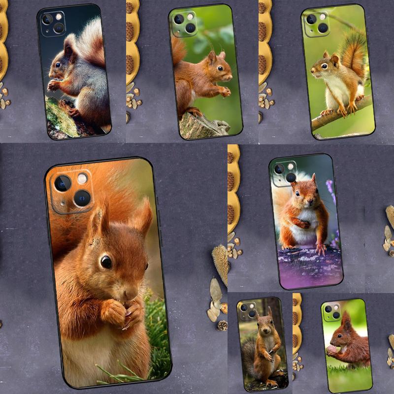 Squirrel Case For Realme 15 14 13 11 12 Pro Plus GT6 GT7 Pro C55 C51 C53 C35 C33 C31 C61 C67 C71 C75