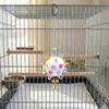 Detachable Bird Cage Toy with Bell Hanging Foraging Ball Creative Parrot Chewing Toy  Bird Training